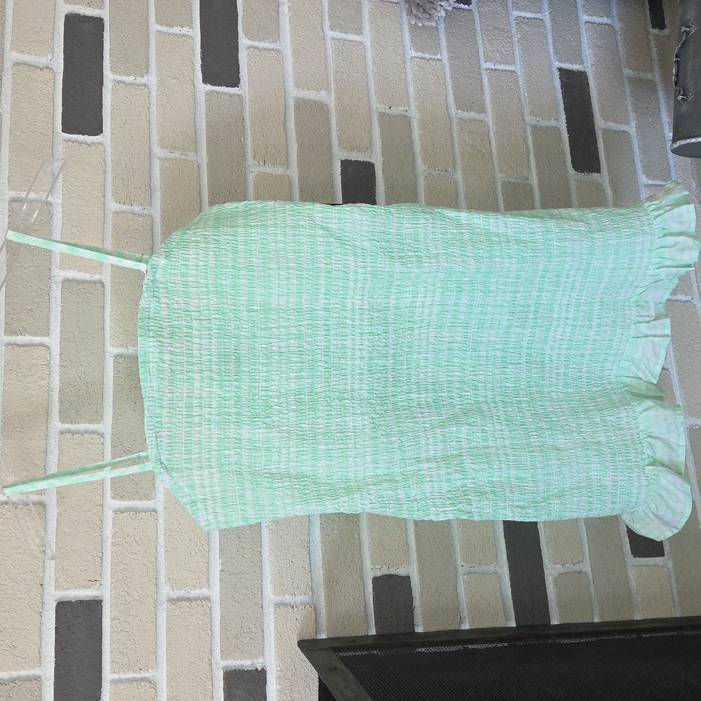NWT Wild Fable Green and White Smocked Dress SZ XXL